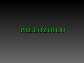 PALEOZOICO 