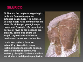 SILÚRICO El Silúrico fue un periodo geológico de la era Paleozoica que se extendió desde hace 440 millones de años hasta hace 410 millones de años. Es el tiempo geológico que precede al Devónico. Se caracteriza porque el nivel de los océanos era elevado, con lo que existe un amplio registro de sedimentos marinos en todos los continentes. La vida en la tierra firme se extendió y diversificó, como testimonian los fósiles de hongos, plantas (helechos primitivos), arañas y ciempiés. La fauna marina era similar a la del período anterior. 