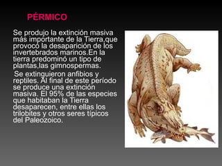 Se produjo la extinción masiva más importante de la Tierra,que provocó la desaparición de los invertebrados marinos.En la tierra predominó un tipo de plantas,las gimnospermas. Se extinguieron anfibios y reptiles. Al final de este período se produce una extinción masiva. El 95% de las especies que habitaban la Tierra desaparecen, entre ellas los trilobites y otros seres típicos del Paleozoico. PÉRMICO 