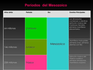 Períodos  del Mesozoico Extinción masiva del Triásico-Jurásico, primeros dinosaurios, mamíferos ovíparos. Triásico 208 millones Mamíferos marsupiales, primeras aves, primeras plantas con flor. Jurásico 146 millones Los dinosaurios comienzan a declinar, extinción masiva del Cretáceo-Terciário, primeros mamíferos placentarios. Mesozoico Cretáceo 64 millones Eventos Principales Era Periodo Años atrás 