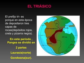 EL TRIÁSICO El prefijo tri- es porque en esta época de depositaron tres capas de rocas(depósitos rojos, creta y pizarra negra). En este periodo , Pangea se dividió en  2 partes Laurasia(norte)  Gondwana(sur). 