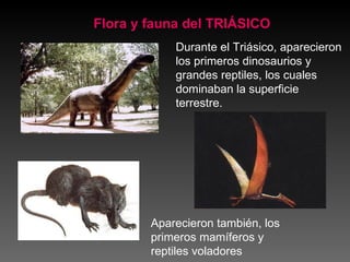 Durante el Triásico, aparecieron los primeros dinosaurios y grandes reptiles, los cuales dominaban la superficie terrestre. Flora y fauna del TRIÁSICO Aparecieron también, los primeros mamíferos y reptiles voladores 