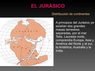 Distribución de continentes A principios del Jurásico ya existían dos grandes masas terrestres separadas, por el mar Tetis. Laurasia norte, comprendía Europa, Asia y América del Norte y el sur, la Antártica, Australia y la India.  EL JURÁSICO 