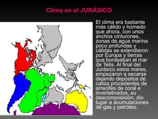 Clima en el JURÁSICO El clima era bastante más cálido y húmedo que ahora, con unos anchos cinturones, zonas de agua marina poco profundas y cálidas se extendieron por Europa y tierras que bordeaban el mar de Tetis. Al final del Jurásico estos mares, empezaron a secarse dejando depósitos de caliza procedentes de arrecifes de coral e invertebrados, su descomposición, dio lugar a acumulaciones de gas y petróleo. 