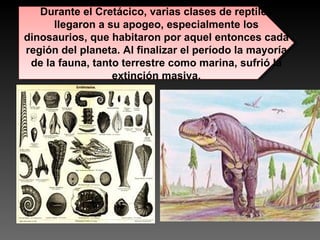 Durante el Cretácico, varias clases de reptiles llegaron a su apogeo, especialmente los dinosaurios, que habitaron por aquel entonces cada región del planeta. Al finalizar el período la mayoría de la fauna, tanto terrestre como marina, sufrió la extinción masiva. 