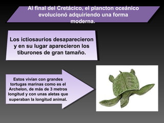 Al final del Cretácico, el plancton oceánico evolucionó adquiriendo una forma moderna.   Los ictiosaurios desaparecieron y en su lugar aparecieron los tiburones de gran tamaño. Estos vivían con grandes tortugas marinas como es el Archelon, de más de 3 metros longitud y con unas aletas que superaban la longitud animal . 