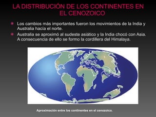 LA DISTRIBUCIÓN DE LOS CONTINENTES EN EL CENOZOICO Los cambios más importantes fueron los movimientos de la India y Australia hacía el norte. Australia se aproximó al sudeste asiático y la India chocó con Asia. A consecuencia de ello se formo la cordillera del Himalaya.   Aproximación entre los continentes en el cenozoico. 