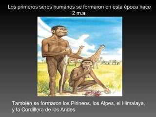 Los primeros seres humanos se formaron en esta época hace 2 m.a . También se formaron los Pirineos, los Alpes, el Himalaya, y la Cordillera de los Andes 