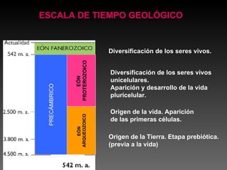 Diversificación de los seres vivos. Diversificación de los seres vivos unicelulares. Aparición y desarrollo de la vida pluricelular. Origen de la vida. Aparición de las primeras células. Origen de la Tierra. Etapa prebiótica. (previa a la vida) ESCALA DE TIEMPO GEOLÓGICO EÓN  ARQUEOZOICO EÓN   PROTEROZOICO PRECÁMBRICO 