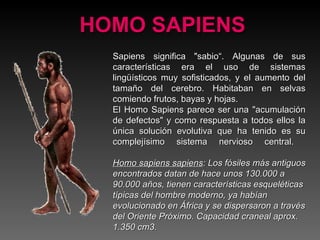 HOMO SAPIENS Sapiens significa "sabio“. Algunas de sus características era el uso de sistemas lingüísticos muy sofisticados, y el aumento del tamaño del cerebro. Habitaban en selvas comiendo frutos, bayas y hojas. El Homo   Sapiens parece ser una "acumulación de defectos" y como respuesta a todos ellos la única solución evolutiva que ha tenido es su complejísimo sistema nervioso central.  Homo sapiens sapiens : Los fósiles más antiguos encontrados datan de hace unos 130.000 a 90.000 años, tienen características esqueléticas típicas del hombre moderno, ya habían evolucionado en África y se dispersaron a través del Oriente Próximo. Capacidad craneal aprox. 1.350 cm3. 