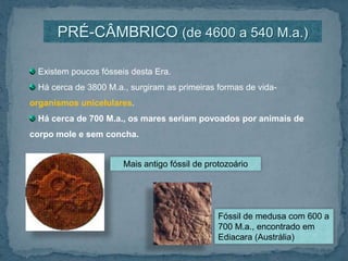 PRÉ-CÂMBRICO (de 4600 a 540 M.a.) Existem poucos fósseis desta Era. Há cerca de 3800 M.a., surgiram as primeiras formas de vida-organismos unicelulares. Há cerca de 700 M.a., os mares seriam povoados por animais de corpo mole e sem concha.Mais antigo fóssil de protozoárioFóssil de medusa com 600 a 700 M.a., encontrado em Ediacara (Austrália)