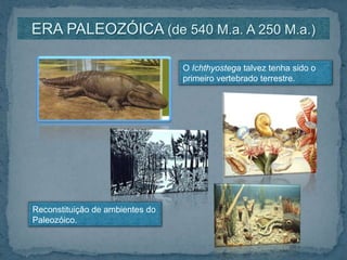 ERA PALEOZÓICA (de 540 M.a. A 250 M.a.)O Ichthyostega talvez tenha sido o primeiro vertebrado terrestre.Reconstituição de ambientes do Paleozóico.