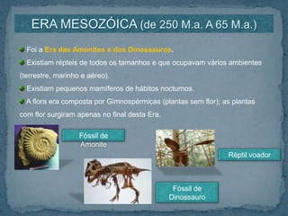 ERA MESOZÓICA (de 250 M.a. A 65 M.a.) Foi a Era das Amonites e dos Dinossauros.Existiam répteis de todos os tamanhos e que ocupavam vários ambientes (terrestre, marinho e aéreo). Existiam pequenos mamíferos de hábitos nocturnos. A flora era composta por Gimnospérmicas (plantas sem flor); as plantas com flor surgiram apenas no final desta Era.Fóssil de AmoniteRéptil voadorFóssil de Dinossauro
