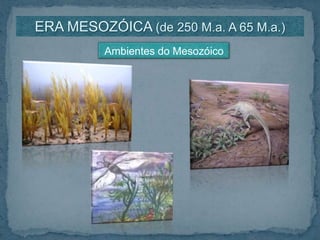 ERA MESOZÓICA (de 250 M.a. A 65 M.a.)Ambientes do Mesozóico