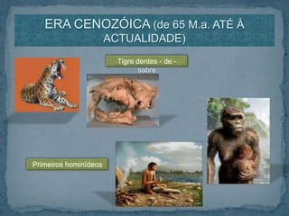 ERA CENOZÓICA (de 65 M.a. ATÉ À ACTUALIDADE)Tigre dentes - de - sabrePrimeiros hominídeos