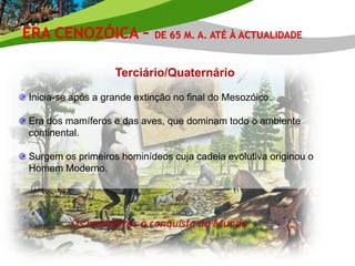 Terciário/Quaternário

Inicia-se após a grande extinção no final do Mesozóico.

Era dos mamíferos e das aves, que dominam todo o ambiente
continental.

Surgem os primeiros hominídeos cuja cadeia evolutiva originou o
Homem Moderno.




         Os mamíferos à conquista do Mundo
 