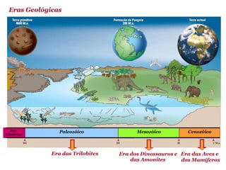 Eras Geológicas




  Pré-          Paleozóico              Mesozóico         Cenozóico
Câmbrico




             Era das Trilobites   Era dos Dinossauros e Era das Aves e
                                      das Amonites      dos Mamíferos
 