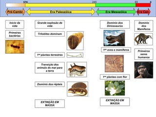 570                               245                          65               0


Pré-Cambr.                    Era Paleozóica           Era Mesozóica         Era Cen.


 Início da         Grande explosão de                   Domínio dos           Domínio
    vida                  vida                          Dinossauros             dos
                                                                             Mamíferos
Primeiras          Trilobites dominam
bactérias




                                                     1as aves e mamíferos        Primeiros
                   1as plantas terrestres                                          seres
                                                                                 humanos

                      Transição dos
                   animais do mar para
                          a terra

                                                     1as plantas com flor

                   Domínio dos répteis




                                                       EXTINÇÃO EM
                      EXTINÇÃO EM                         MASSA
                         MASSA
 