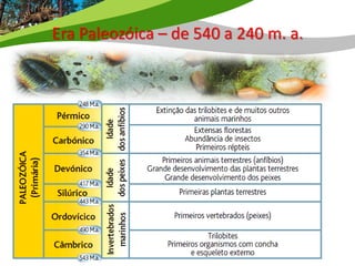 Era Paleozóica – de 540 a 240 m. a.
 