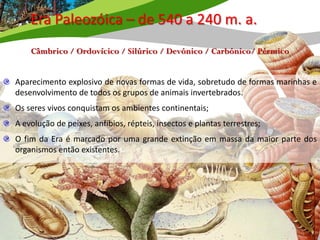 Era Paleozóica – de 540 a 240 m. a.
    Câmbrico / Ordovícico / Silúrico / Devónico / Carbónico/ Pérmico


Aparecimento explosivo de novas formas de vida, sobretudo de formas marinhas e
desenvolvimento de todos os grupos de animais invertebrados.
Os seres vivos conquistam os ambientes continentais;
A evolução de peixes, anfíbios, répteis, insectos e plantas terrestres;
O fim da Era é marcado por uma grande extinção em massa da maior parte dos
organismos então existentes.
 