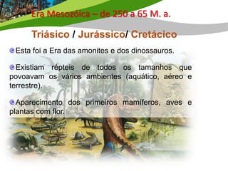 Era Mesozóica – de 250 a 65 M. a.

     Triásico / Jurássico/ Cretácico
 Esta foi a Era das amonites e dos dinossauros.

  Existiam répteis de todos os tamanhos que
povoavam os vários ambientes (aquático, aéreo e
terrestre).

  Aparecimento dos primeiros mamíferos, aves e
plantas com flor.
 