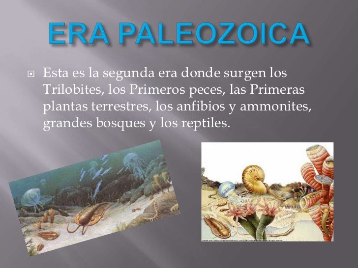 Eras geológicas
