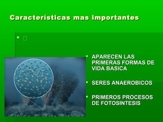 Características mas importantes


  

                   APARECEN LAS
                    PRIMERAS FORMAS DE
                    VIDA BASICA

                   SERES ANAEROBICOS

                   PRIMEROS PROCESOS
                    DE FOTOSINTESIS
 