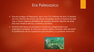 Era Paleozoico
 Esta era antigua, el Paleozoico, duró unos 315 millones de años. El planeta
era muy distinto del actual. Las tierras emergidas tenían el aspecto de islas
más o menos dispersa alrededor del ecuador terrestre. Algunas de estas
islas eran América del Sur, Laurente y Gordana.
 Durante esta época se produjeron numerosos plegamientos que
originaron montañas. El clima era todavía cálido y húmedo. Esto favoreció
la proliferación de los organismos pluricelulares y su posterior evolución.
 