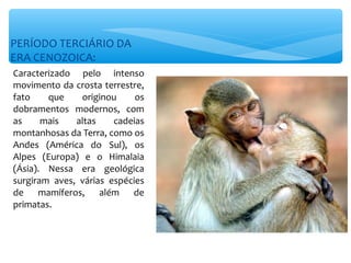 PERÍODO TERCIÁRIO DA
ERA CENOZOICA:
Caracterizado pelo intenso
movimento da crosta terrestre,
fato    que    originou     os
dobramentos modernos, com
as     mais   altas    cadeias
montanhosas da Terra, como os
Andes (América do Sul), os
Alpes (Europa) e o Himalaia
(Ásia). Nessa era geológica
surgiram aves, várias espécies
de mamíferos, além de
primatas.
 