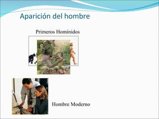 Aparición del hombre Primeros Homínidos Hombre Moderno 