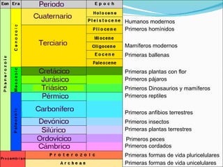 Primeras formas de vida pluricelulares Primeros cordados Primeros peces Primeras plantas terrestres Primeros insectos Primeros Dinosaurios y mamíferos Primeros pájaros Primeras plantas con flor Primeras ballenas Humanos modernos Primeros homínidos Mamíferos modernos Primeros reptiles Primeros anfibios terrestres Primeras formas de vida unicelulares 