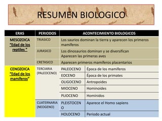 RESUMEN BIOLOGICO
ERAS    PERIODOS                  ACONTECIMIENTO BIOLOGICOS
       TRIASICO      Los saurios dominan la tierra y aparecen los primeros
                     mamíferos
       JURASICO      Los dinosaurios dominan y se diversifican
                     Aparecen las primeras aves
       CRETASICO     Aparecen primeros mamíferos placentarios
       TERCIARIA     PALEOCENO      Época de los mamíferos
       (PALEOCENO)
                     EOCENO         Época de los primates
                     OLIGOCENO      Antropoides
                     MIOCENO        Hominoides
                     PLIOCENO       Homínidos
       CUATERNARIA PLEISTOCEN       Aparece el Homo sapiens
       (NEOGENO)   O
                     HOLOCENO       Periodo actual
 