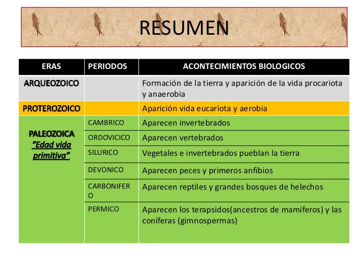 Eras geologicas