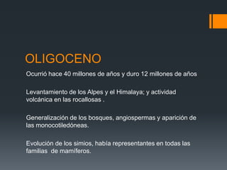 OLIGOCENO
Ocurrió hace 40 millones de años y duro 12 millones de años

Levantamiento de los Alpes y el Himalaya; y actividad
volcánica en las rocallosas .

Generalización de los bosques, angiospermas y aparición de
las monocotiledóneas.

Evolución de los simios, había representantes en todas las
familias de mamíferos.
 