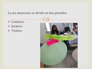 La era mesozoica se divide en tres periodos:

 Cretácico
                         
 Jurásico
 Triásico
 