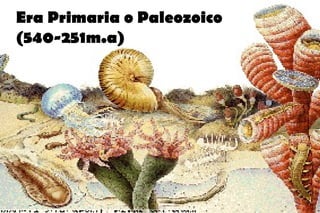 Era Primaria o Paleozoico
(540-251m.a)
 