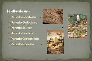 
    Se divide en:
    
        Periodo Cámbrico
    
        Periodo Ordovícico
    
        Periodo Silúrico
    
        Periodo Devónico
    
        Periodo Carbonífero
    
        Periodo Pérmico
 