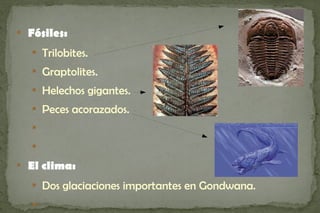 
    Fósiles:
    
        Trilobites.
    
        Graptolites.
    
        Helechos gigantes.
    
        Peces acorazados.
    


    



    El clima:
    
        Dos glaciaciones importantes en Gondwana.
    
 