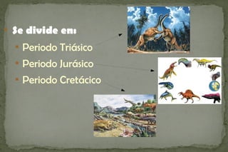 
    Se divide en:
    
        Periodo Triásico
    
        Periodo Jurásico
    
        Periodo Cretácico
 