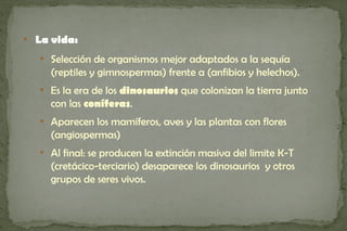 
    La vida:
    
        Selección de organismos mejor adaptados a la sequía
        (reptiles y gimnospermas) frente a (anfibios y helechos).
    
        Es la era de los dinosaurios que colonizan la tierra junto
        con las coníferas.
    
        Aparecen los mamíferos, aves y las plantas con flores
        (angiospermas)
    
        Al final: se producen la extinción masiva del limite K-T
        (cretácico-terciario) desaparece los dinosaurios y otros
        grupos de seres vivos.
 