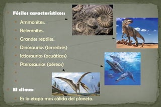
    Fósiles característicos:
     
         Ammonites.
     
         Belemnites.
     
         Grandes reptiles.
     
         Dinosaurios (terrestres)
     
         Ictiosaurios (acuáticos)
     
         Pterosaurios (aéreos)
     


     



    El clima:
     
         Es la etapa mas cálida del planeta.
 
