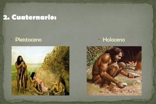 2. Cuaternario:



    
        Pleistoceno   
                          Holoceno
    


    
 