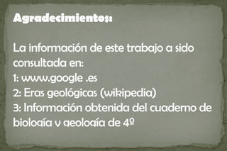 Agradecimientos:

La información de este trabajo a sido
consultada en:
1: www.google .es
2: Eras geológicas (wikipedia)
3: Información obtenida del cuaderno de
biología y geología de 4º
 