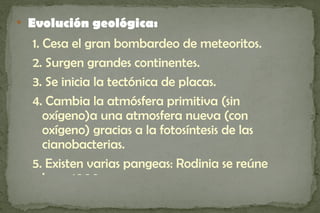 
    Evolución geológica:
    1. Cesa el gran bombardeo de meteoritos.
    2. Surgen grandes continentes.
    3. Se inicia la tectónica de placas.
    4. Cambia la atmósfera primitiva (sin
       oxígeno)a una atmosfera nueva (con
       oxígeno) gracias a la fotosíntesis de las
       cianobacterias.
    5. Existen varias pangeas: Rodinia se reúne
       hace 1000 m.a.
 