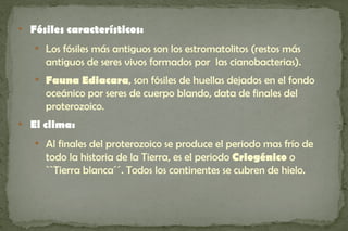 
    Fósiles característicos:
     
         Los fósiles más antiguos son los estromatolitos (restos más
         antiguos de seres vivos formados por las cianobacterias).
     
         Fauna Ediacara, son fósiles de huellas dejados en el fondo
         oceánico por seres de cuerpo blando, data de finales del
         proterozoico.

    El clima:
     
         Al finales del proterozoico se produce el periodo mas frío de
         todo la historia de la Tierra, es el periodo Criogénico o
         ``Tierra blanca´´. Todos los continentes se cubren de hielo.
 