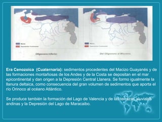 Era Cenozoica (Cuaternaria): sedimentos procedentes del Macizo Guayanés y de
las formaciones montañosas de los Andes y de la Costa se depositan en el mar
epicontinental y dan origen a la Depresión Central Llanera. Se formo igualmente la
llanura deltaica, como consecuencia del gran volumen de sedimentos que aporta el
río Orinoco al océano Atlántico.

Se produce también la formación del Lago de Valencia y de las terrazas aluviales
andinas y la Depresión del Lago de Maracaibo.
 