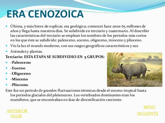 Eras geologicas