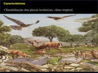 Características
Estabilização das placas tectônicas, clima tropical.
 