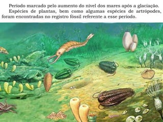 Período marcado pelo aumento do nível dos mares após a glaciação.
Espécies de plantas, bem como algumas espécies de artrópodes,
foram encontradas no registro fóssil referente a esse período.
 