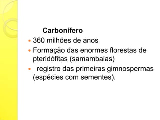 Carbonífero
 360 milhões de anos
 Formação das enormes florestas de
pteridófitas (samambaias)
 registro das primeiras gimnospermas
(espécies com sementes).

 